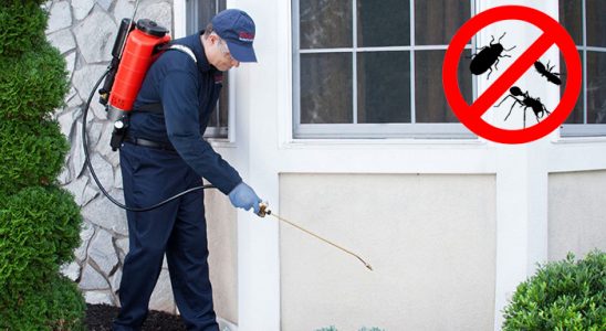 Keskin Hamam Böceği İlaçlama böcek ilaçlama ve haşere kontrolü — ilaclama-tr.com